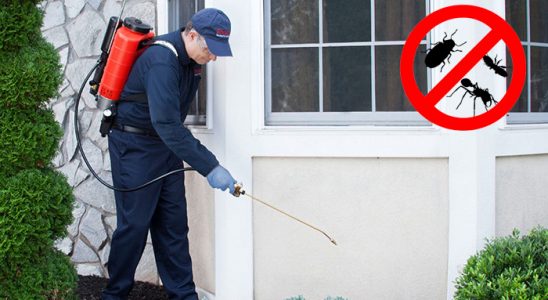 Aybastı Gümüşkurt İlaçlama böcek ilaçlama ve haşere kontrolü — ilaclama-tr.com
